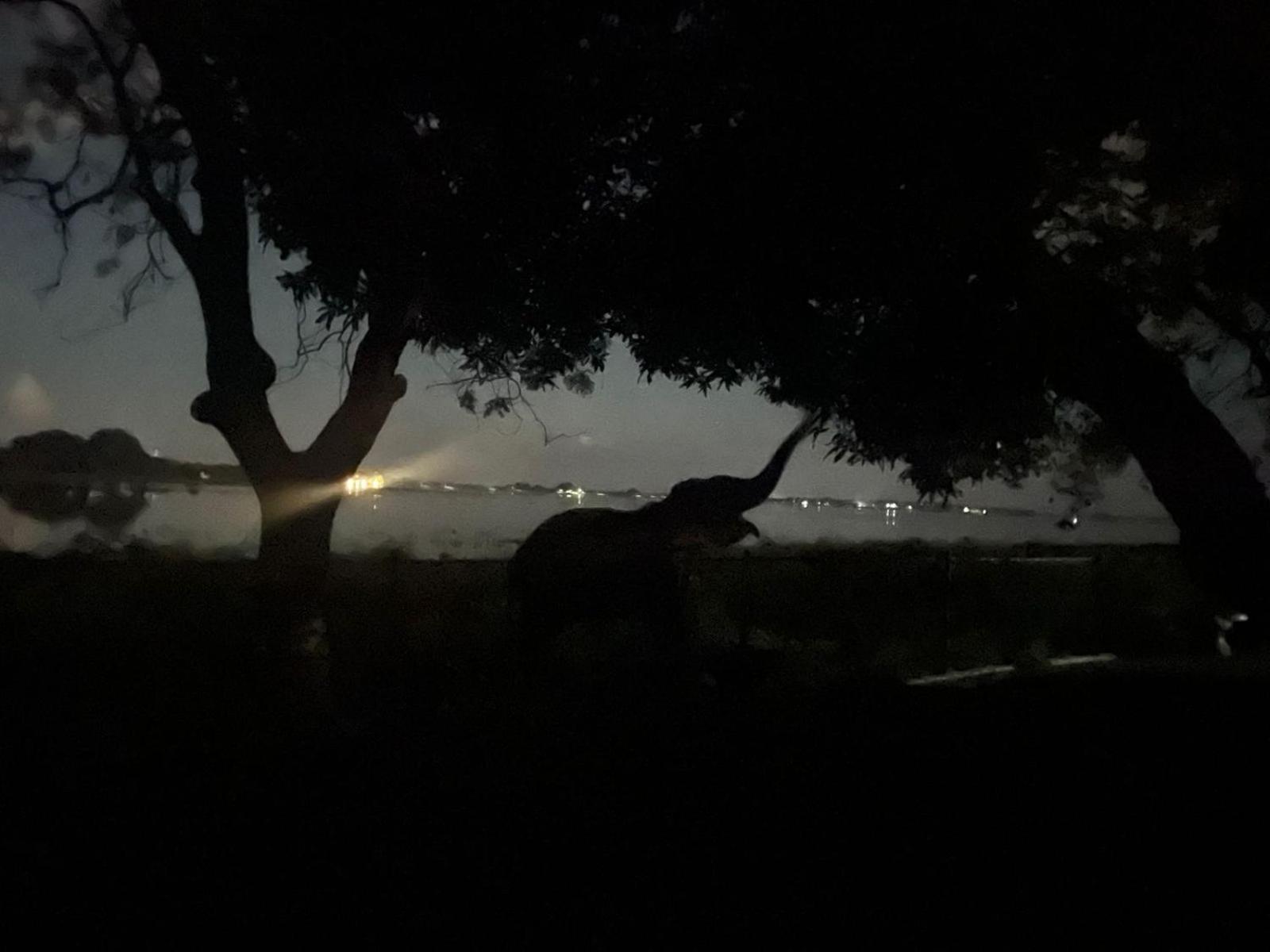 פולונרואה Hotel Lake Park מראה חיצוני תמונה